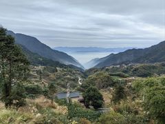 -杨家堂村