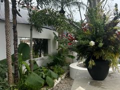 -自由生长植物工作室(深港花卉中心店)