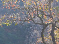 -于家石头村景区