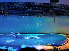 -上海海昌海洋公园