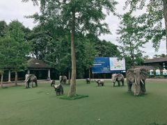 -保利石象湖景区