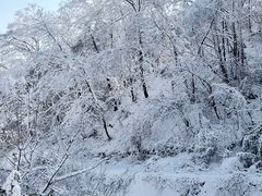 -秦岭终南山世界地质公园翠华山景区
