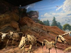 -居然之家(黑龙江南路店)