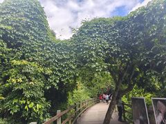 -野象谷景区