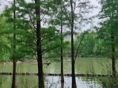 -洛阳市隋唐城遗址植物园