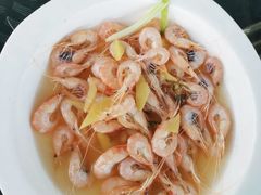 白米虾-湖鲜楼
