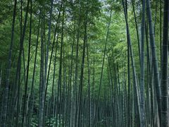 -黄公望隐居地