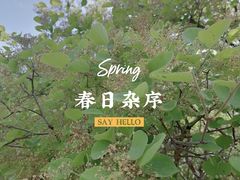 -府君山公园