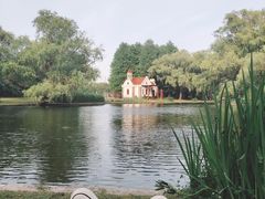 -上海共青森林公园