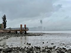 -深圳湾公园(南山区)