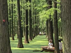 -渌洋湖湿地公园