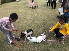 -前小桔亲子创意农场·草莓采摘·露营烧烤
