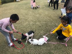 点击看大图 -前小桔亲子创意农场·草莓采摘·露营烧烤