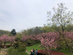 -南京市江宁方山