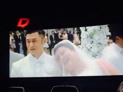 -枫花园汽车电影院(朝阳公园店)