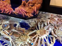 -蟹道乐(道顿堀本店)