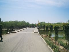 -西青郊野公园