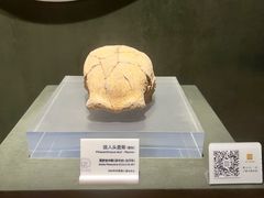 -马鞍山市博物馆