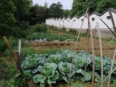 -中华贤母园-陶渊明纪念馆