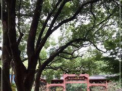 -杭州半山国家森林公园