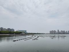 -金鸡湖景区