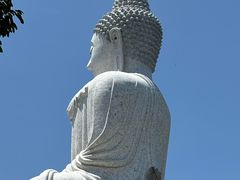 -普吉镇