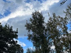 -璞真扎染博物馆