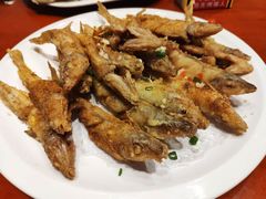 -海蓝海鲜馆(五四北店)