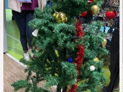 -LikingFit24小时健身•普拉提(张江店)