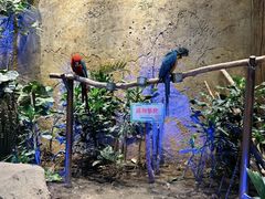 -杭州开元森泊度假乐园