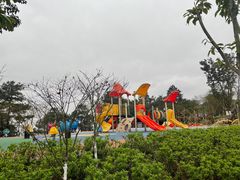 -铁山坪森林公园