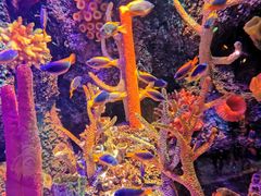 -沈阳海洋探索中心