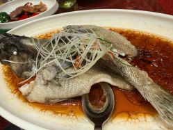 -上海雅居乐万豪侯爵酒店·宴会厅