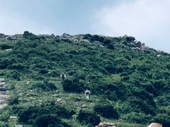 -灵山