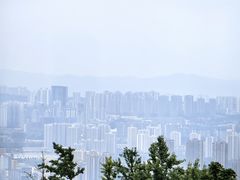-金水泊山庄·花椒鸡(铁山坪店)