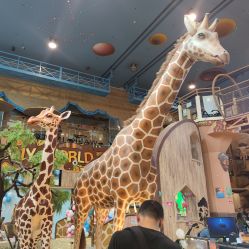-卡通尼·Safari非洲探索乐园·生日会(金桥国际商业广场店)