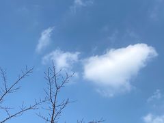 -映月湖中央公园