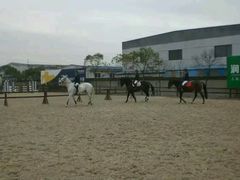 -松声马术俱乐部