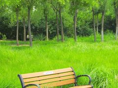 -天津东丽湖风景区