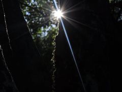 -维乐口腔医院(星海湾分院)