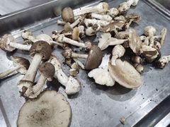 -兴福老面馆(寺路街店)