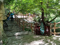 -黑龙潭风景区