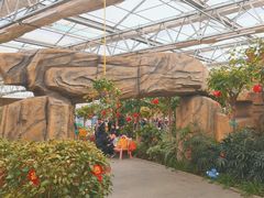 -南宫五洲植物乐园