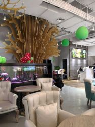 -可爱多国际儿童摄影会馆(龙泉店)