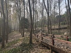 -洪泽湖古堰景区