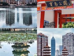 -宝岛公园