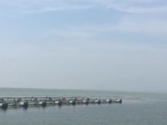-苏州太湖国际会议中心