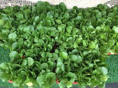 王家渡火锅店(棕榈泉店)-王家渡火锅店(棕榈泉店)