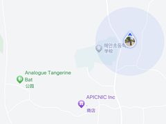 -柑橘农场