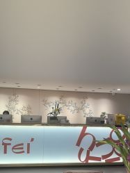 -广东韩妃整形外科医院